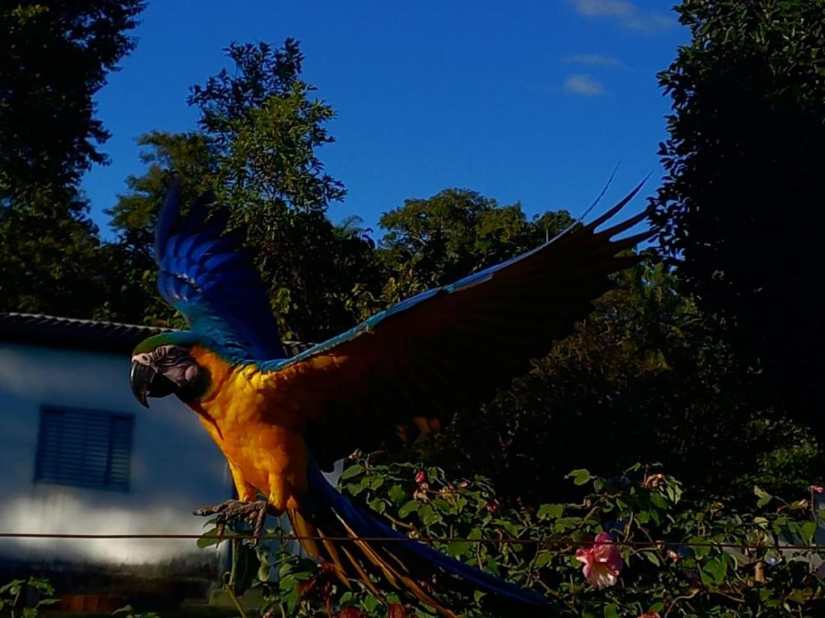 Pousada Casa Rosa Alto Paraíso de Goiás 외부 사진